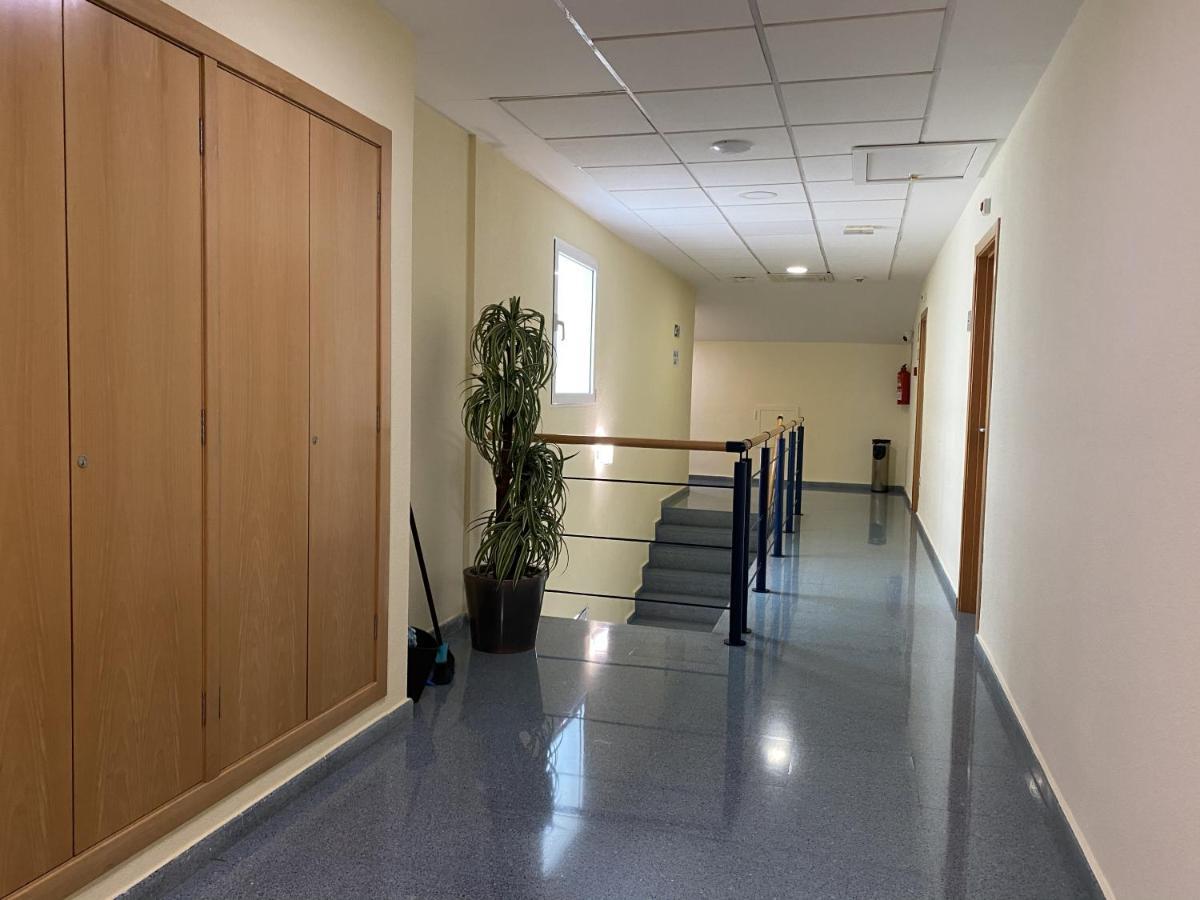 Residencia Mediterraneo San Vicente Raspeig Bagian luar foto